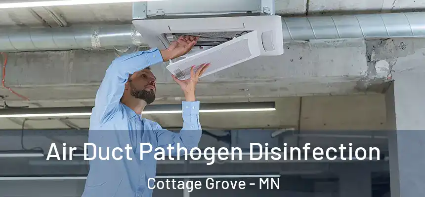  Air Duct Pathogen Disinfection Cottage Grove - MN