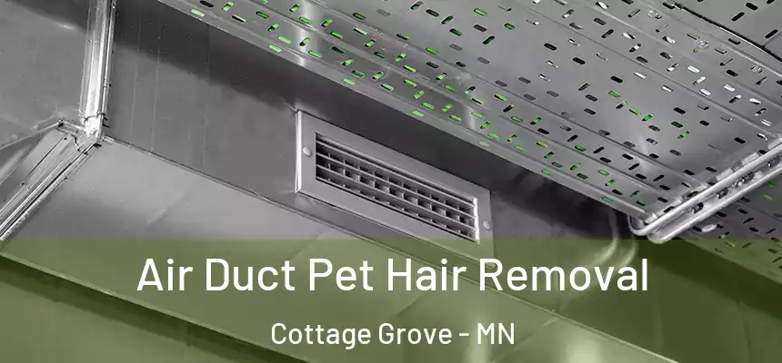  Air Duct Pet Hair Removal Cottage Grove - MN