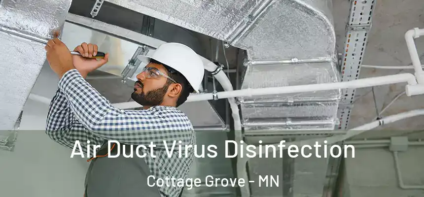 Air Duct Virus Disinfection Cottage Grove - MN