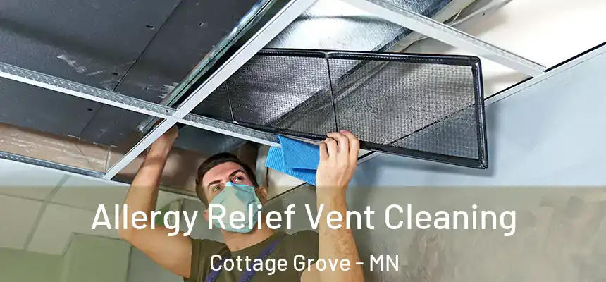 Allergy Relief Vent Cleaning Cottage Grove - MN