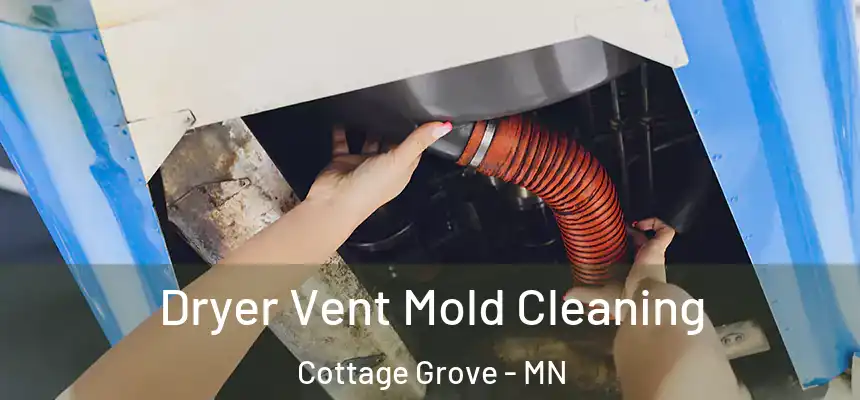  Dryer Vent Mold Cleaning Cottage Grove - MN
