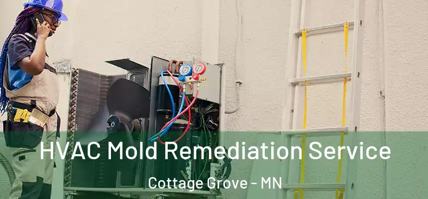  HVAC Mold Remediation Service Cottage Grove - MN