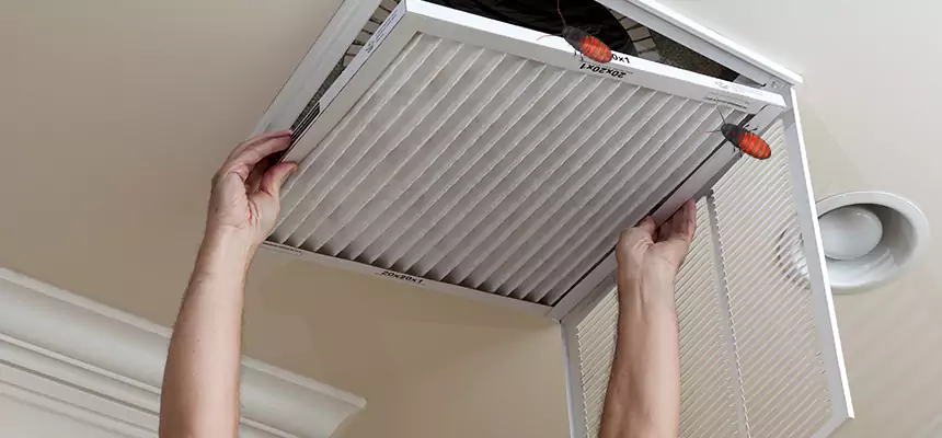 Preventive Cockroach-Proofing for Ducts in Cottage Grove