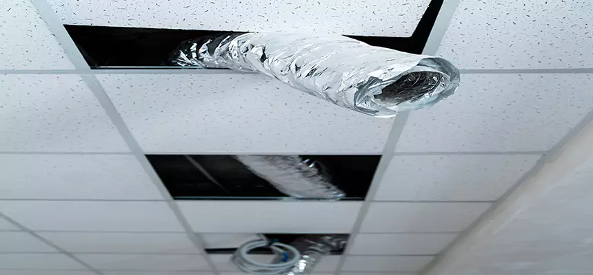 Affordable HVAC Sanitizing After Pest Removal in Cottage Grove