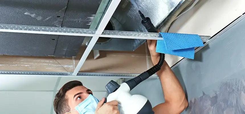 Our Air Duct Rodent Removal Services in Cottage Grove, MN