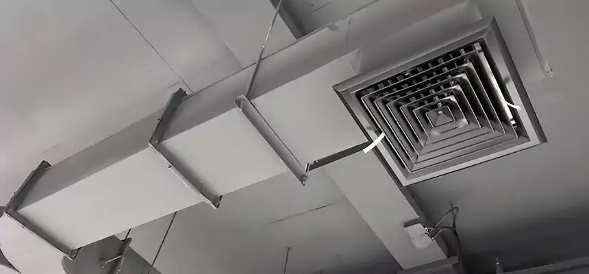 Restorative Allergy Relief Vent Cleaning – Coil, Blower & Housing Detail in Cottage Grove