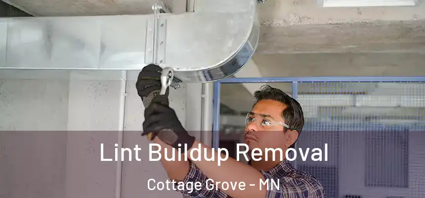  Lint Buildup Removal Cottage Grove - MN