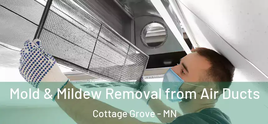  Mold & Mildew Removal from Air Ducts Cottage Grove - MN