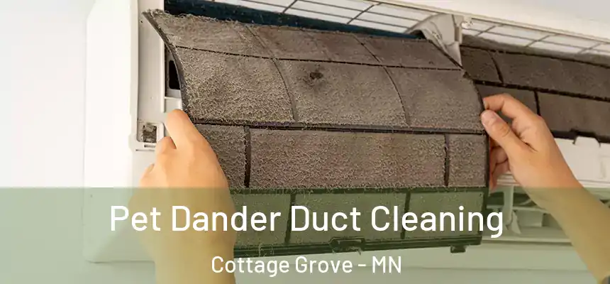  Pet Dander Duct Cleaning Cottage Grove - MN