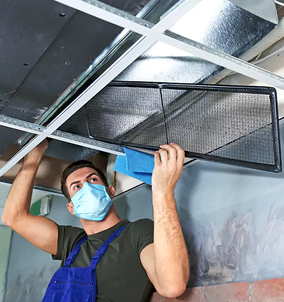 About Air Duct Bacteria Removal in Cottage Grove