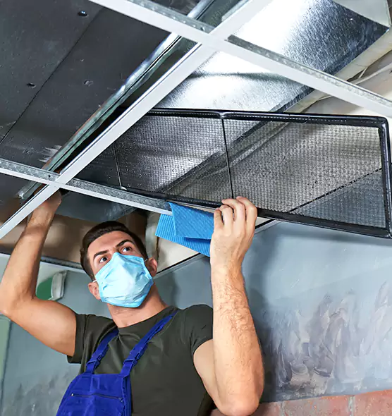 Professional Air Duct Pollen Cleaning in Cottage Grove, MN