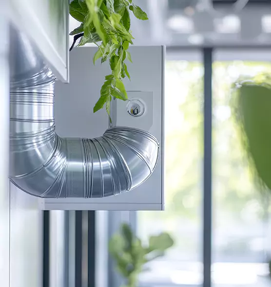 Professional Eco-Safe Dryer Vent Cleaning in Cottage Grove, MN