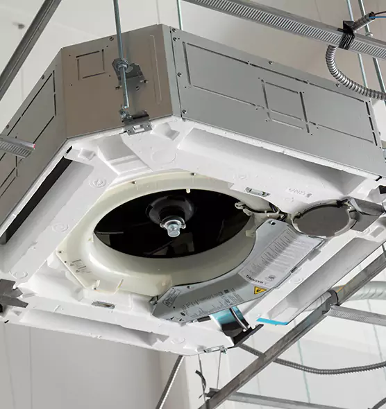 Professional Roof Vent Lint Removal Cottage Grove, MN