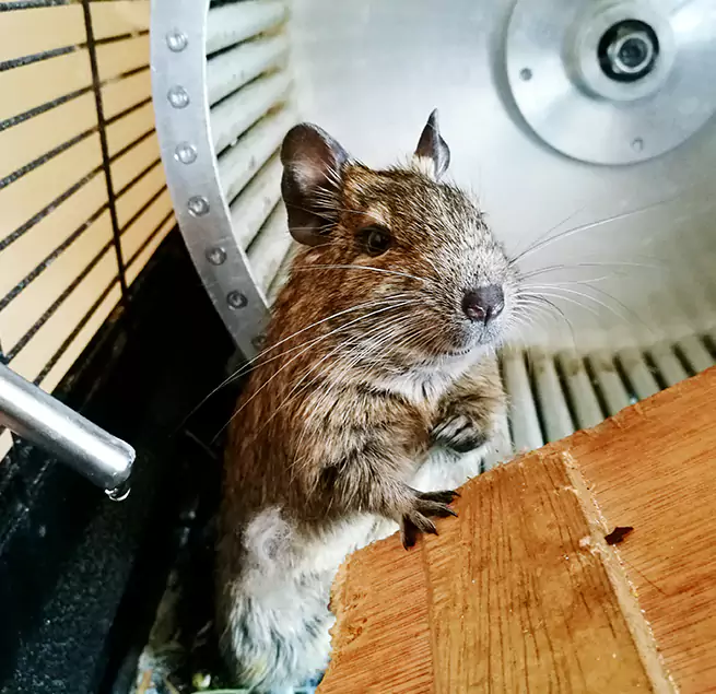 Why Homeowners & Businesses Trust Us Cottage Grove, MN?