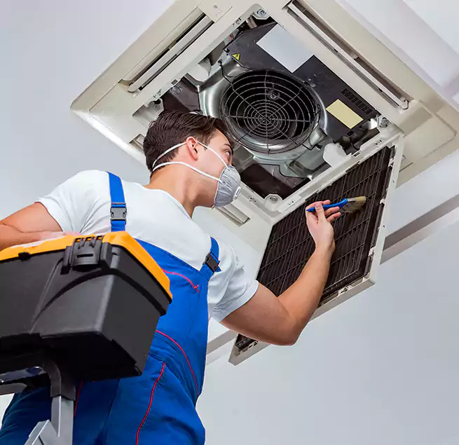 Why Homeowners & Businesses Trust Us in Cottage Grove, MN