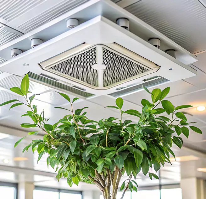 Why Homeowners & Businesses Trust Us in Cottage Grove, MN