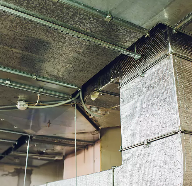 Why Homeowners & Businesses Trust Us in Cottage Grove, MN?